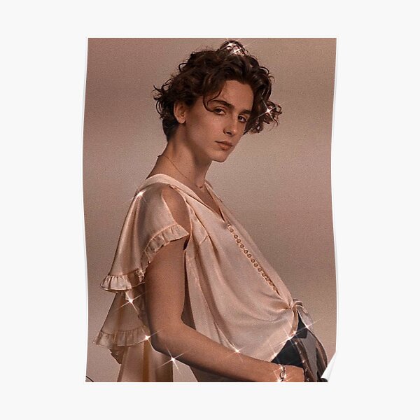 timothee chalamet Poster