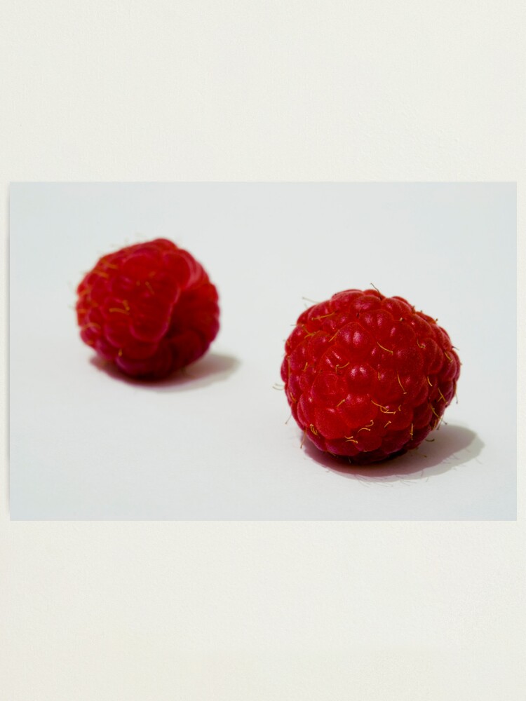 Alternate view of Day 233 - 28th February 2012 Photographic Print
