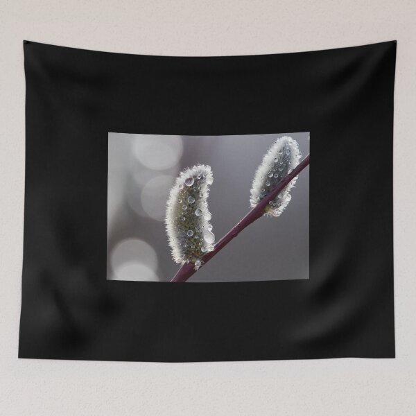 Item preview, Steel and silver. Willow catkins designed and sold by Jouko Lehto Photography.