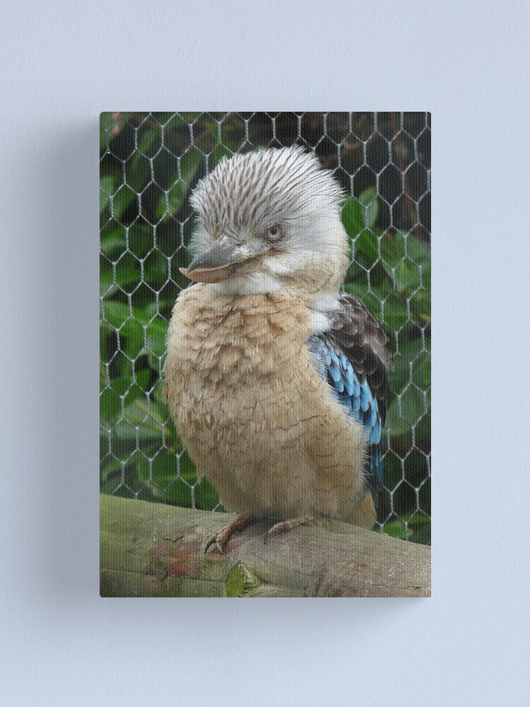 Alternate view of Got my bird face on Canvas Print