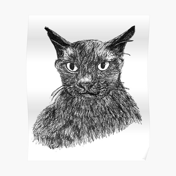 Moet the Brown Burmese Poster