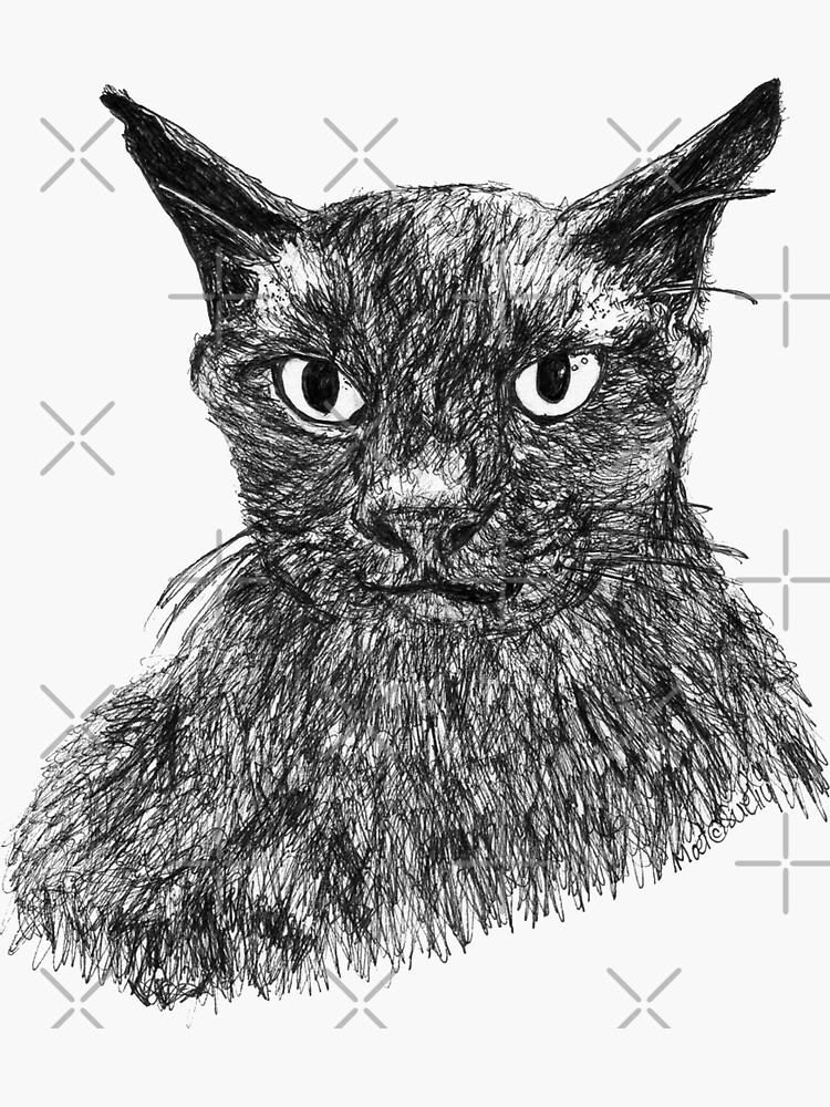 Moet the Brown Burmese by Wildcard-Sue