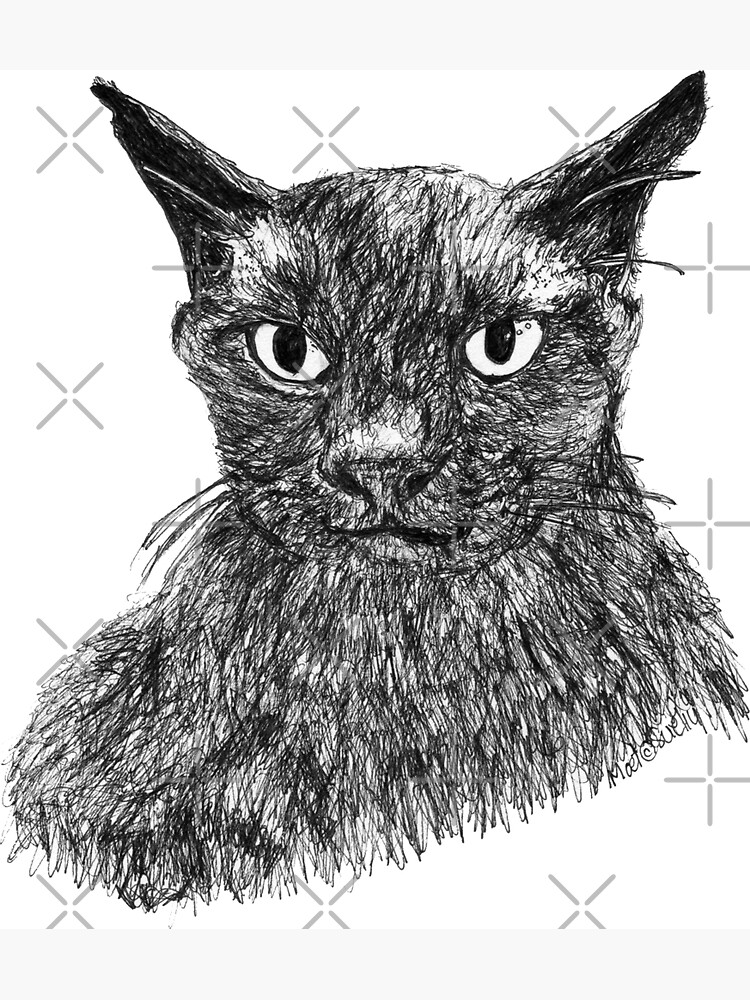 Moet the Brown Burmese by Wildcard-Sue