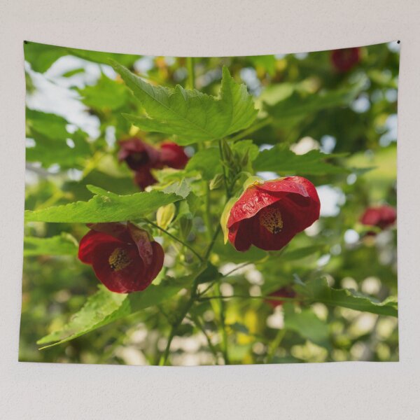 Item preview, Midsummer Garden Dreams - Abutilon Chinese Lanterns in Rich Vermilion designed and sold by Georgia Mizuleva.