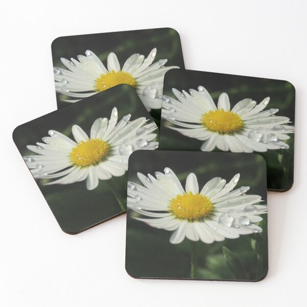Item preview, Dew drops on Daisy designed and sold by LizzArtistry.