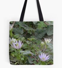 Windflowers, thimbleweed, wood anemone Tote Bag