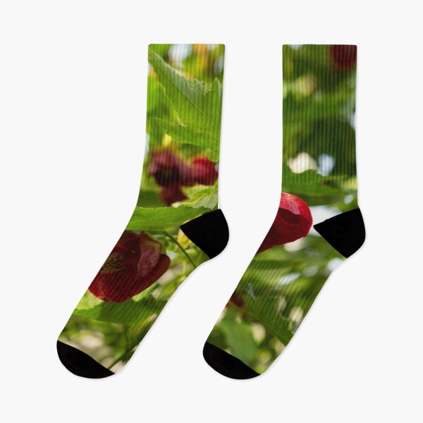Item preview, Midsummer Garden Dreams - Abutilon Chinese Lanterns in Rich Vermilion designed and sold by Georgia Mizuleva.