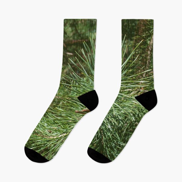 Item preview, Pine, pine pattern, even as a Christmas motif designed and sold by Rostislav Bouda.
