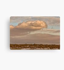 Saskatchewan Landscape Canvas Print