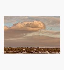 Saskatchewan Landscape Photographic Print