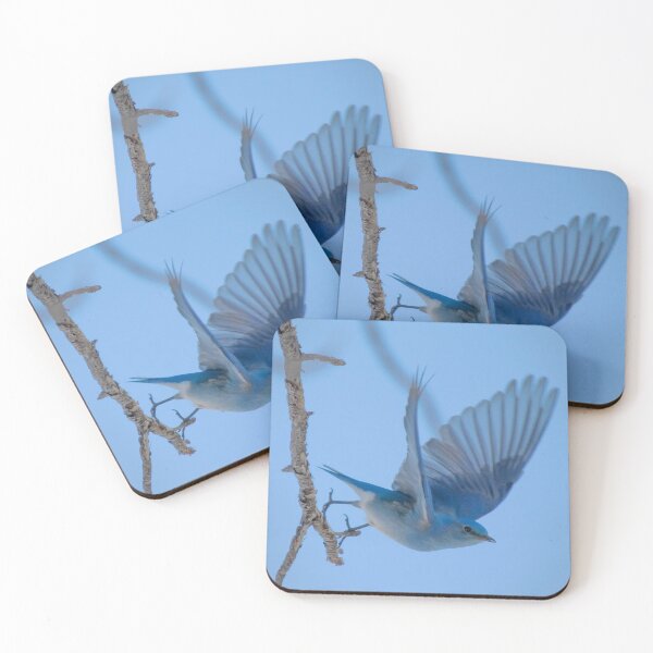 Item preview, Mountain Bluebird Taking Flight from a Tree Branch designed and sold by Tahoe Trail Guide.