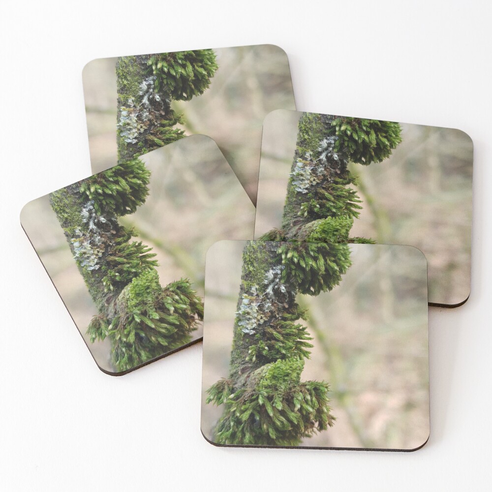 Item preview, Coasters (Set of 4) designed and sold by Reygd.