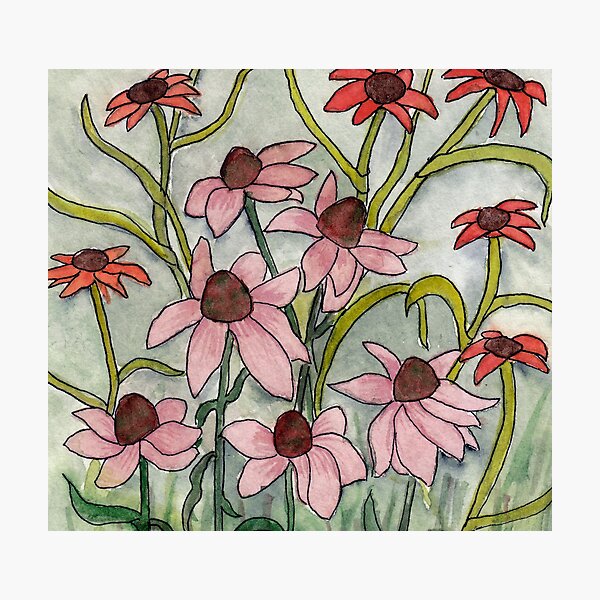 Artikelvorschau, Echinacea and Co. Blumen in art deco Format. entworfen und verkauft von Cacatuart.