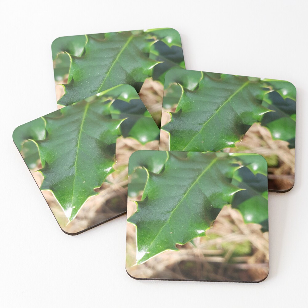 Item preview, Coasters (Set of 4) designed and sold by Reygd.