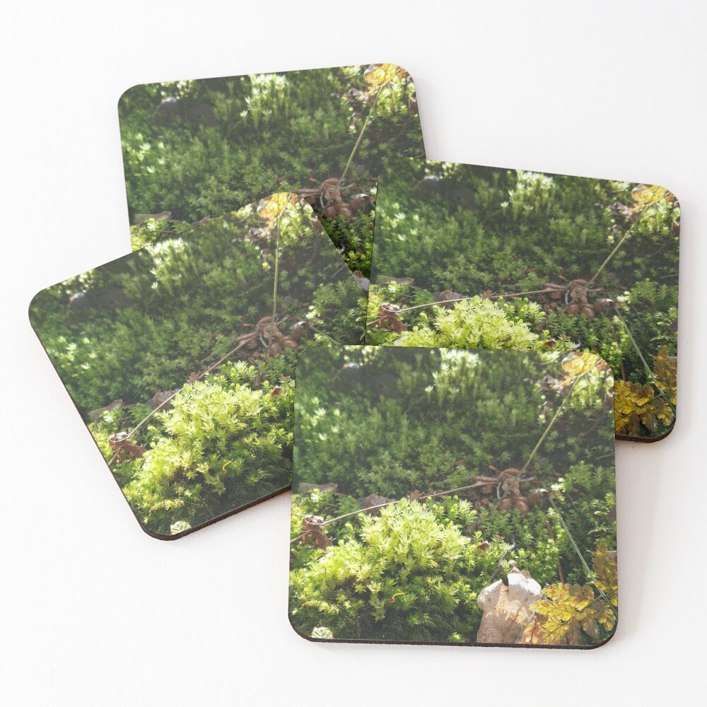 Item preview, Coasters (Set of 4) designed and sold by Reygd.
