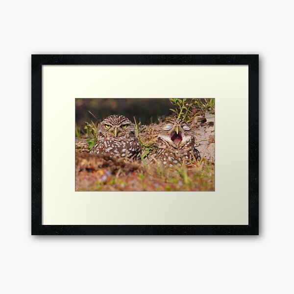 Item preview, We Hate Mornings - Burrowing Owls designed and sold by naturalnomad.