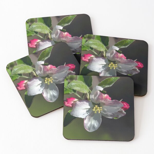 Item preview, April Apple Blossom designed and sold by Eileen McVey.