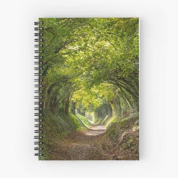 Item preview, Magical tree tunnel designed and sold by LoisGoBe.