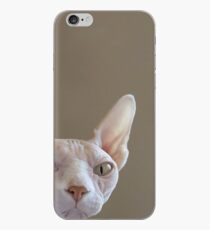 Hairless Sphynx Cat iPhone Case iPhone Case