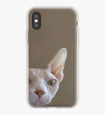 Hairless Sphynx Cat iPhone Case iPhone Case