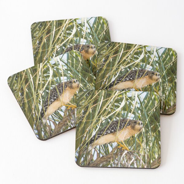 Item preview, Bird Of Prey designed and sold by Zina Stromberg.
