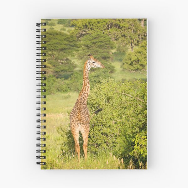 Item preview, Young Giraffe designed and sold by Patty Doublet Photography.