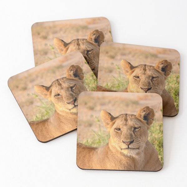 Item preview, Lion Smiling designed and sold by Patty Doublet Photography.