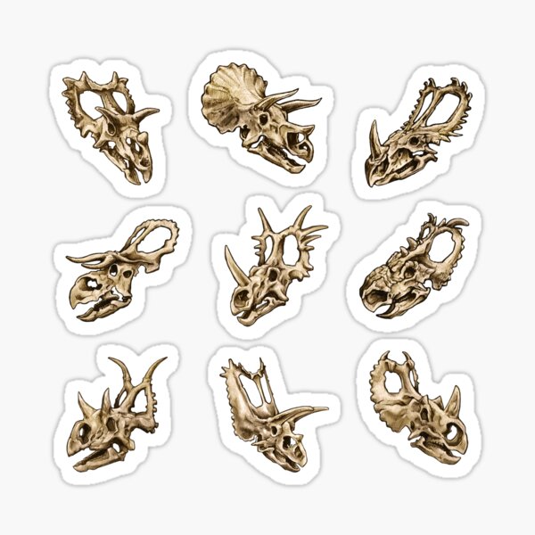 Dinosaur Skull Sticker Set Ceratopsia Sticker