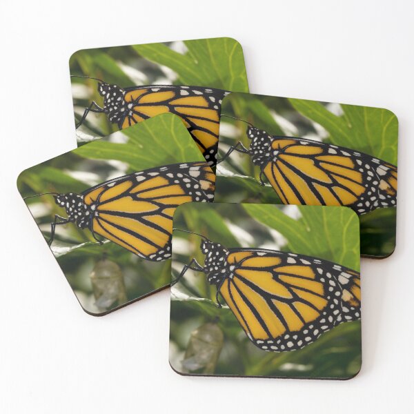 Item preview, Monarch Butterfly 4 designed and sold by Robert Alsop.