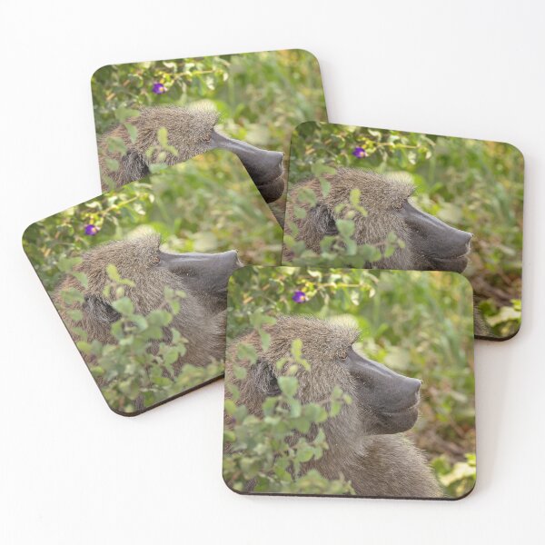 Item preview, Baboon Resting in the Shade designed and sold by Patty Doublet Photography.
