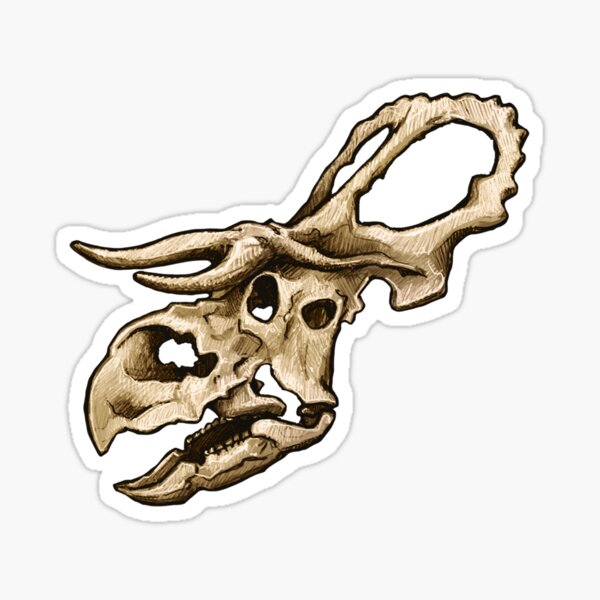 Artikel-Vorschau von Dinosaurierschädel Nasutoceratops Sticker, designt und verkauft von CassWArt.
