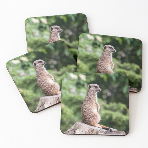 Item preview, Meerkat Photography designed and sold by NatashaBalletta.