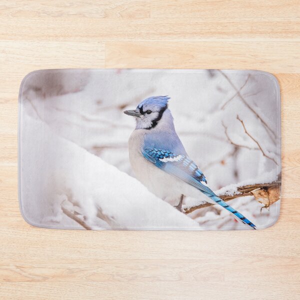Item preview, Blue Jay in the Snow designed and sold by Patty Doublet Photography.