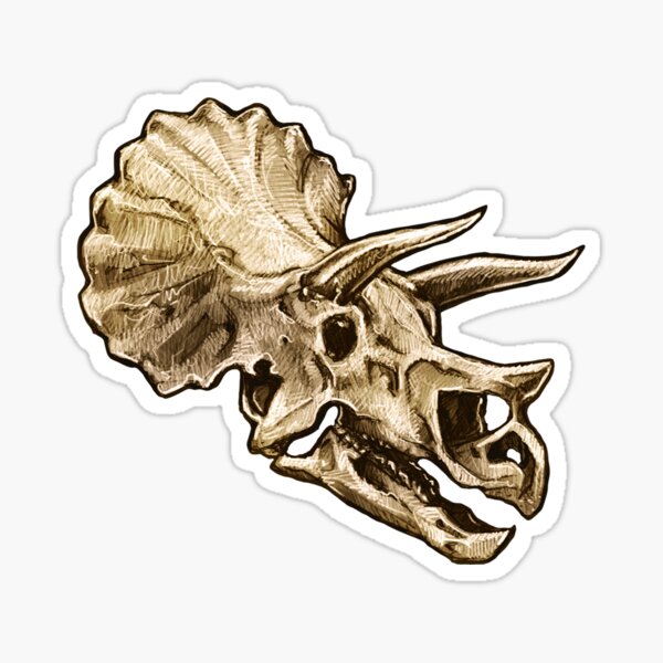 Dinosaur Skull Triceratops 2 Sticker Sticker