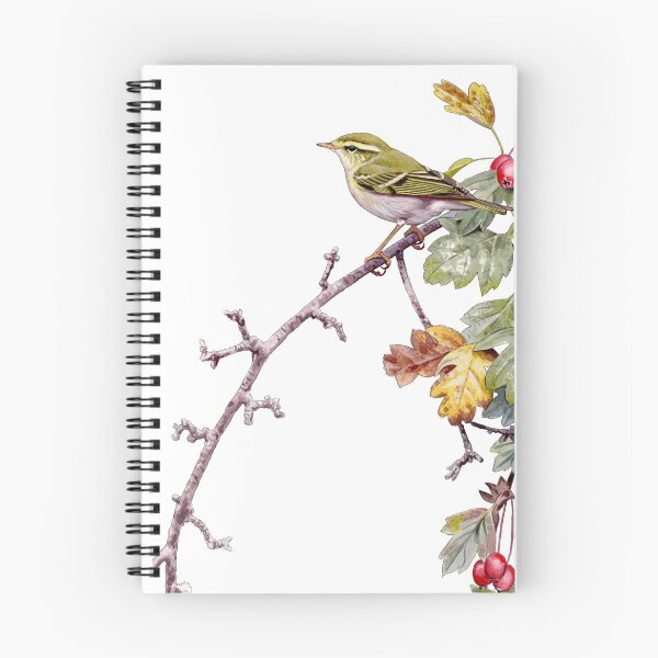 Item preview, Yellow-browed Warbler watercolour designed and sold by kokayart.