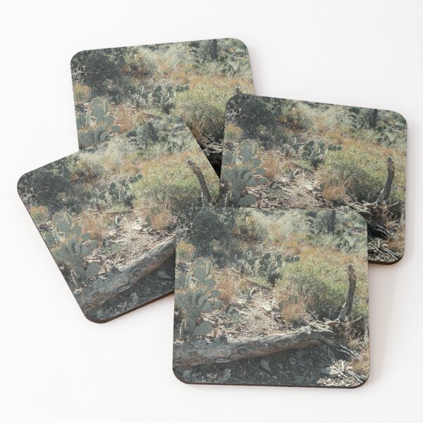 Item preview, Cactus and Foliage in Big Bend National Park designed and sold by Chee Sim.