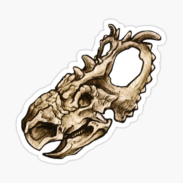 Dinosaur Skull Pachyrhinosaurus Sticker Sticker