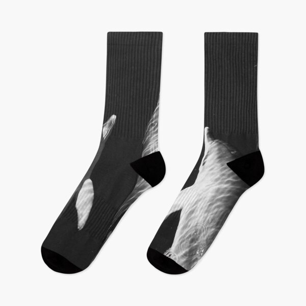 Item preview, Black and white dolphins designed and sold by Chloé Yzoard.