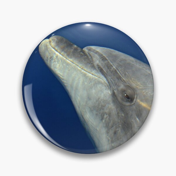 Item preview, Bottlenose dolphin portrait designed and sold by Chloé Yzoard.