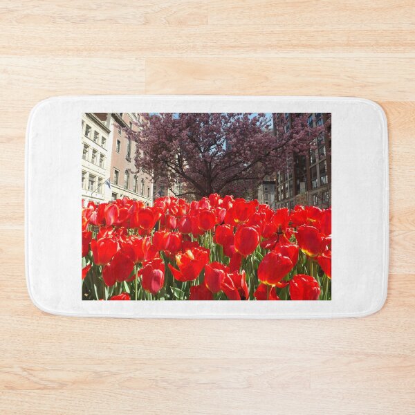 Item preview, Colorful Tulips, March, Murray Hill, New York City designed and sold by lenspiro.