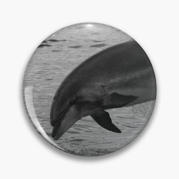 Item preview, Bottlenose dolphin black and white - Tursiops truncatus designed and sold by Chloé Yzoard.