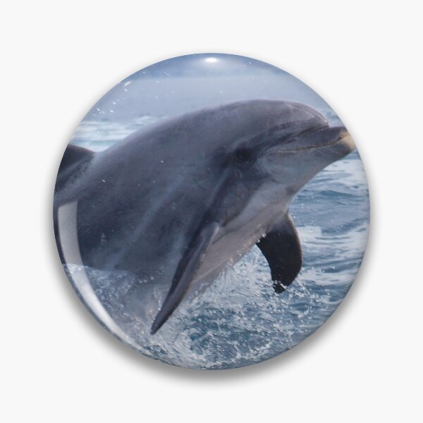 Item preview, Bottlenose dolphin (Tursiops truncatus) surfing the waves designed and sold by Chloé Yzoard.