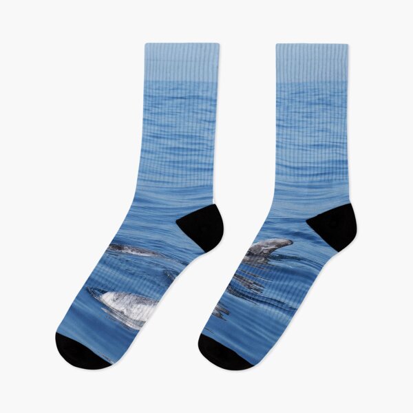 Item preview, Risso´s dolphins (Grampus griseus) in the Atlantic ocean  designed and sold by Chloé Yzoard.