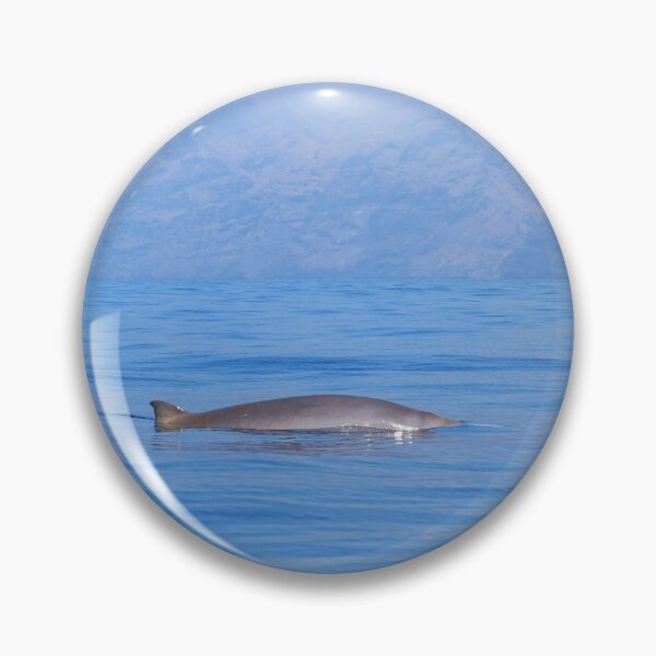 Item preview, Beaked whale in the mist designed and sold by Chloé Yzoard.