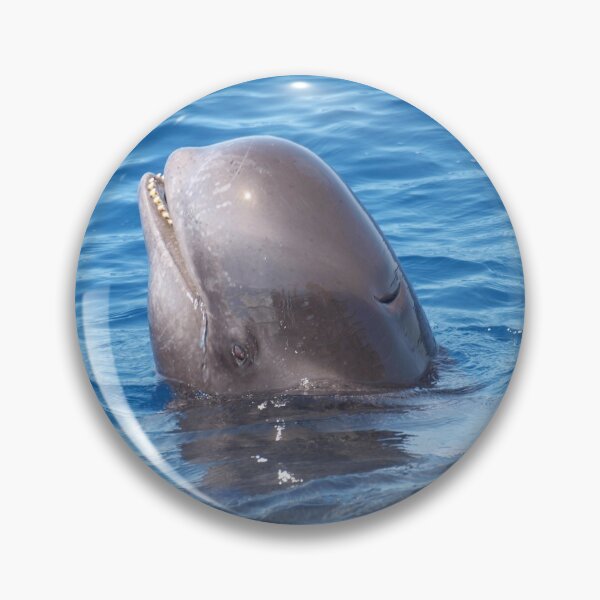 Item preview, Cute wild pilot whale baby  designed and sold by Chloé Yzoard.