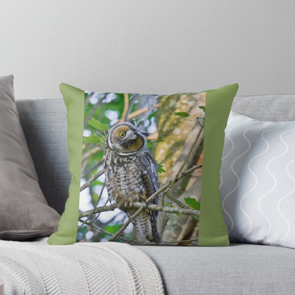 Item preview, Curious Juvenile Long-eared Owl designed and sold by Tom Talbott.
