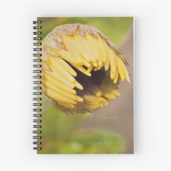 Item preview, A Beginning designed and sold by Sandra Clark.