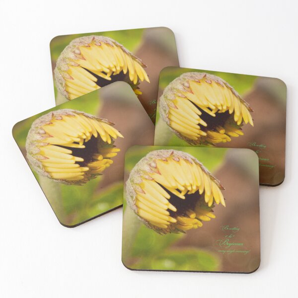 Item preview, A Beginning designed and sold by Sandra Clark.