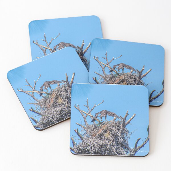 Item preview, Eagle 1 designed and sold by Just My Nature Photography.