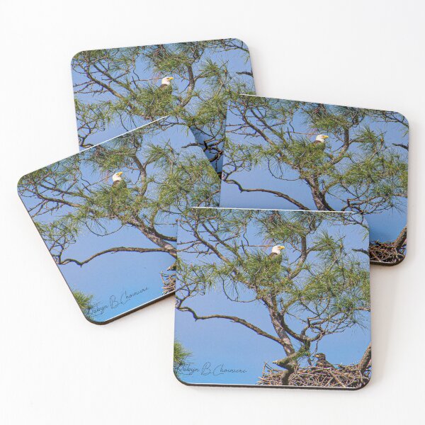 Item preview, Eagle 2 designed and sold by Just My Nature Photography.